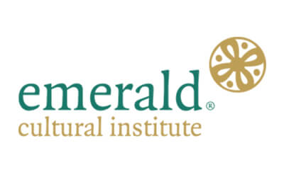 Emerald Cultural Institute - Merrion Square